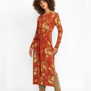 Johnny Was The Janie Favorite Long Sleeve Tie Front Dress in Rustic Paisley